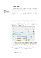 가격전략 사례분석(미샤,아이폰의 가격전략 사례 비교분석)-침투가격전략,스키밍전략 중심-9