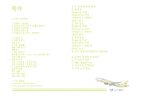 JINAIR 진에어 기업분석및 진에어 마케팅전략 분석과 진에어 새로운 마케팅전략제안(vs 제주항공,한성항공 마케팅전략과 비교분석)-2