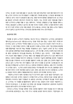 NOKIA 노키아 실패요인분석과 노키아 과거 성공요인분석및 노키아 기업분석과 노키아 한국시장 실패사례분석-6