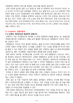 에어부산 마케팅전략 제안및 에어부산 기업전략분석과 에어부산 SWOT,3C분석및 에어부산 문제점분석-13