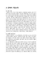 JINAIR 진에어 마케팅실행전략 제안과 진에어 기업분석과 서비스전략분석-3