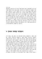 JINAIR 진에어 마케팅실행전략 제안과 진에어 기업분석과 서비스전략분석-8