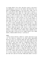 JINAIR 진에어 마케팅실행전략 제안과 진에어 기업분석과 서비스전략분석-12