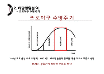 넥센히어로즈 마케팅전략분석/넥센히어로즈 새로운 마케팅 실행방안 제안-7