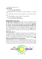 [공학] 마이켈슨 간섭계 실험 - 분광기를 이용한 스펙트럼 측정[회절격자에 의한 빛의 파장 측정-4