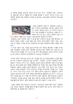 [역사학] 을미사변이 일어나게 된 계기와 배경, 경과, 그리고, 그 후에 나타난 대내외적인 변화에 대해서[명성황후 민씨의 등장과 대원군과의 갈등]-3