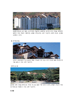 스키장 - 한국 스키장의 현황(용평 리조트 스키장)-5