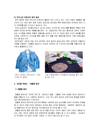 패션과 문화 - 친환경주의와 패션-3