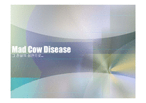 [생물학개론] 광우병(Mad Cow Disease)에 관한 조사-2