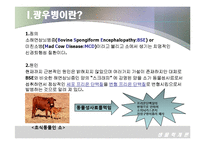 [생물학개론] 광우병(Mad Cow Disease)에 관한 조사-4