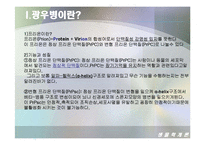[생물학개론] 광우병(Mad Cow Disease)에 관한 조사-5