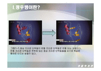 [생물학개론] 광우병(Mad Cow Disease)에 관한 조사-6