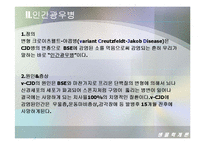 [생물학개론] 광우병(Mad Cow Disease)에 관한 조사-11