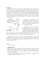[생물학 실험] DNA의 분리 실험-2