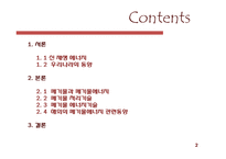 신재생 에너지 기술 - 폐기물과 폐기물 에너지관련 기술 및 동향-2