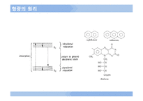 [자연과학] IR, UV, 라만, 형광분광기-10