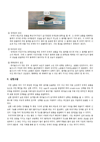 유체실험 - 유동가시화 실험[Flow Visualization 실험결과]-5