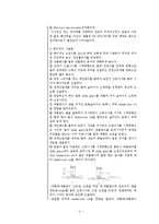 일반생물학실험 - 현미경의 구조, 사용법 및 관찰-4