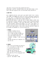 [경상계열] ERP의 개념과 ERP 패키지 현황-2