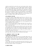 [경영,경제] 남양유업 중국 인터넷시장 진출 대행을 통한 이윤창출-3