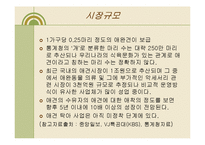 [경영,경제] 사업 계획서 - 애견 카페 & 애견 유치원-12