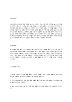 [경영,경제] 스타 마케팅-2
