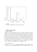[경영,경제] 싸이월드에 대한 보고서-11