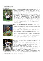 스포츠 마케팅 레포트-5