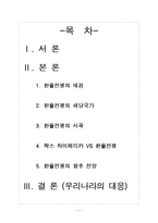 환율전쟁의 배경과 향후 전망-1