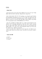 [디지털 시스템설계] 용어조사-3