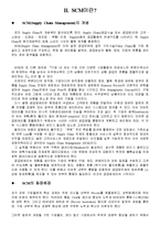 SCM의 등장배경 및 내용-2