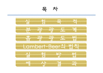분광광도계의 측정-2