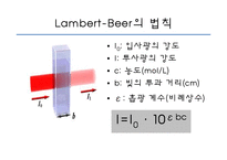 분광광도계의 측정-19