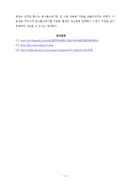 음식물 쓰레기를 활용한 활성탄 제조-4