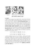 재료과학-폴리싱[금속 조직 관찰]-7