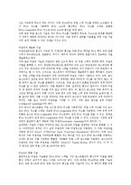 차세대 인터넷- IPV4와 IPV6의 차이점과 대책-3