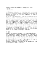 차세대 인터넷- IPV4와 IPV6의 차이점과 대책-4
