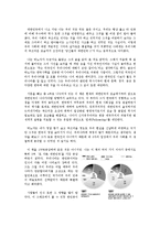 [독후감] 박노자-당신들의 대한민국 독후감-1