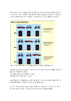 [독후감] 수학독후감(18장)[1]-13