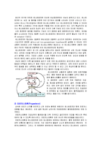 [의학,약학] 성의생물학 - 성호르몬에 대해서-9