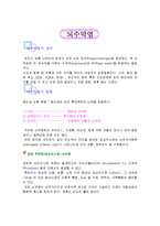 뇌수막염에 대해서-1