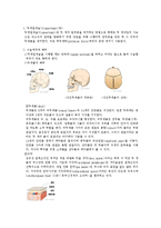 두개골 절제술 레포트-1