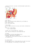 생리학레포트-감각 생리학과 생식 생리학에 대해-12