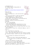생리학레포트-감각 생리학과 생식 생리학에 대해-17