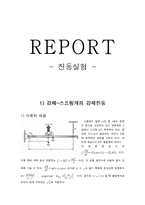 [물리학] 진동실험-1