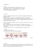 [자연과학] 비파괴 검사의 종류와 정의-10