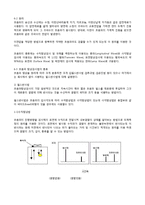 [자연과학] 비파괴 검사의 종류와 정의-12