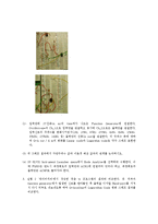 [자연과학] 아날로그 신호 실습-3