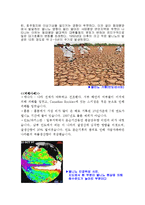 [자연과학] 엘니뇨 및 라니냐현상에 대하여-4