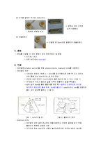 [자연과학] 전자 현미경 보고서-5